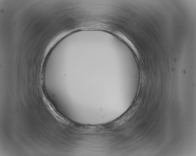 X0000084011485200703161701