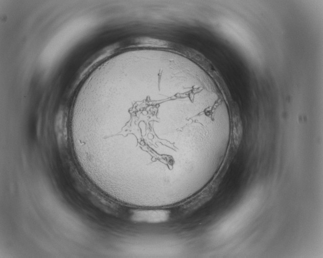 X0000084011487200703161701