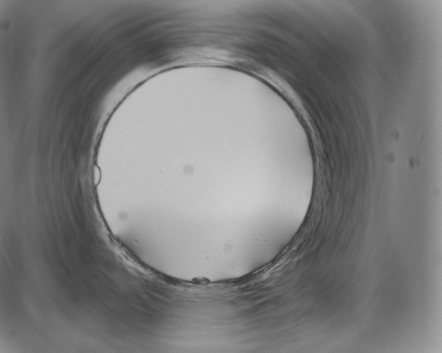 X0000084011488200703161701