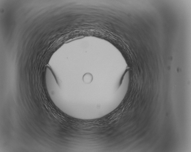 X0000084011489200703161700