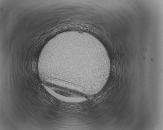 X0000084011490200703161700