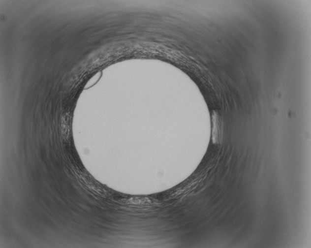 X0000084011491200703161700