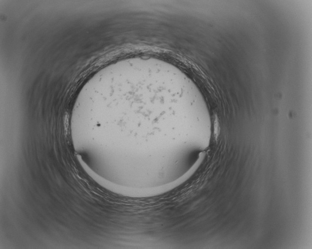 X0000084011492200703161700