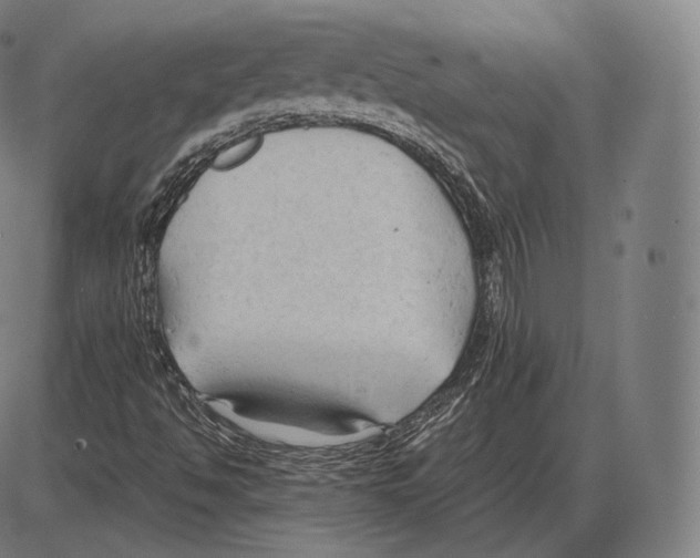 X0000084011494200703161700