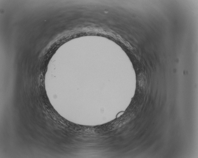 X0000084011495200703161700