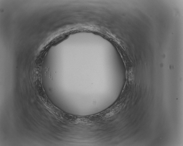 X0000084011496200703161700