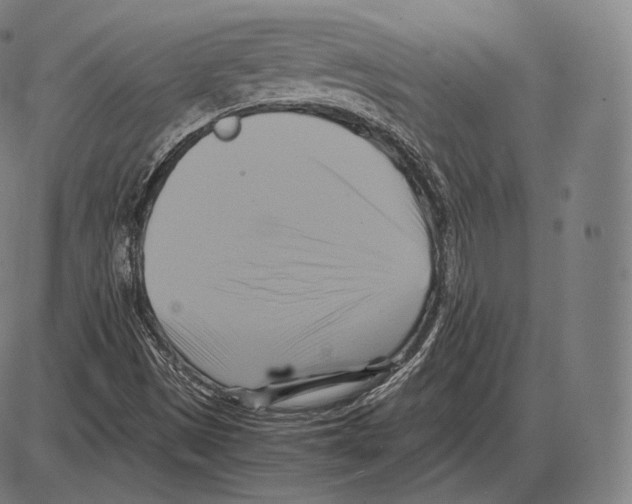 X0000084011497200703161700