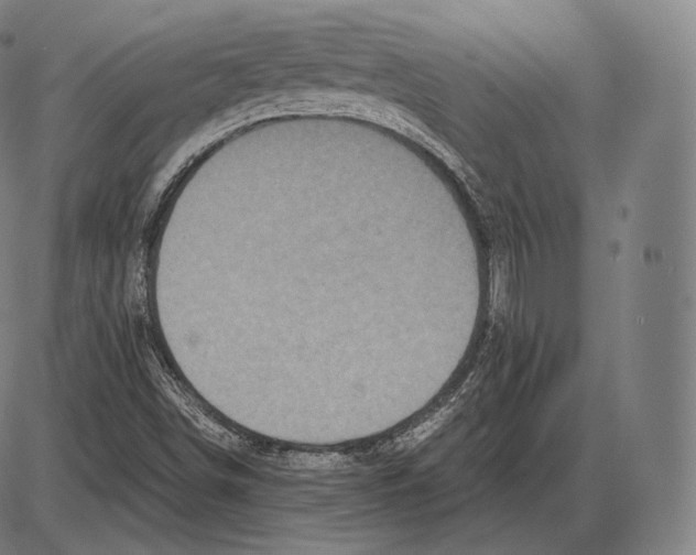 X0000084011498200703161700