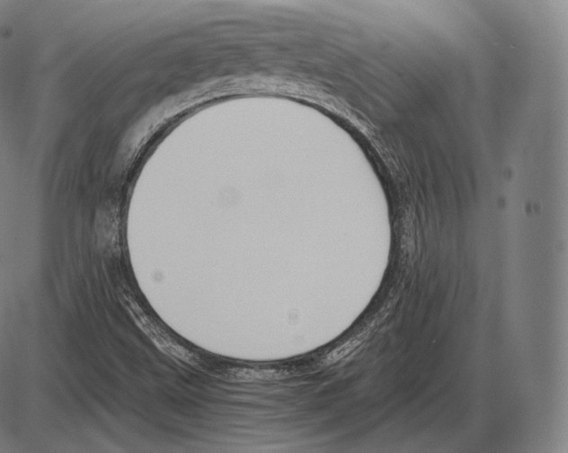 X0000084011499200703161700