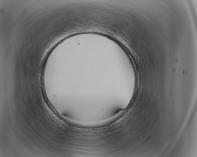 X0000084011500200703161700