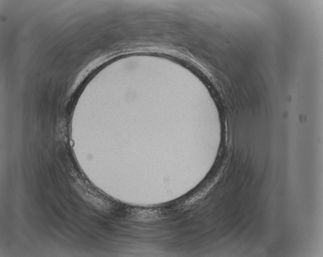 X0000084011501200703161700