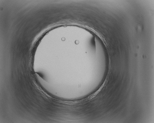 X0000084011502200703161700