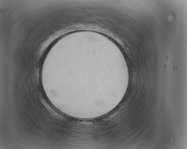 X0000084011503200703161700