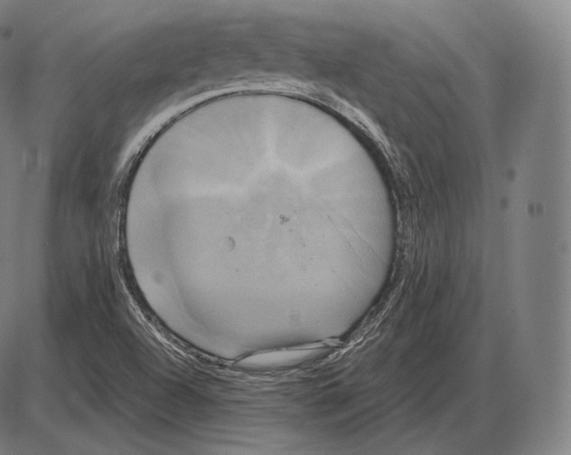 X0000084011504200703161700