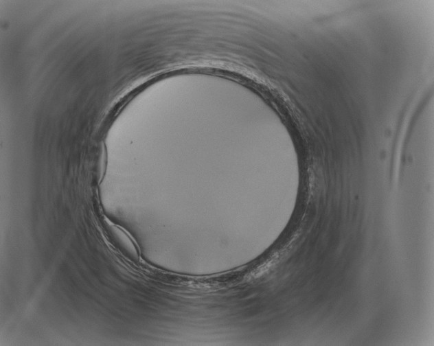 X0000084011505200703161700