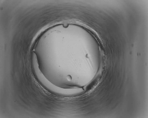 X0000084011506200703161700