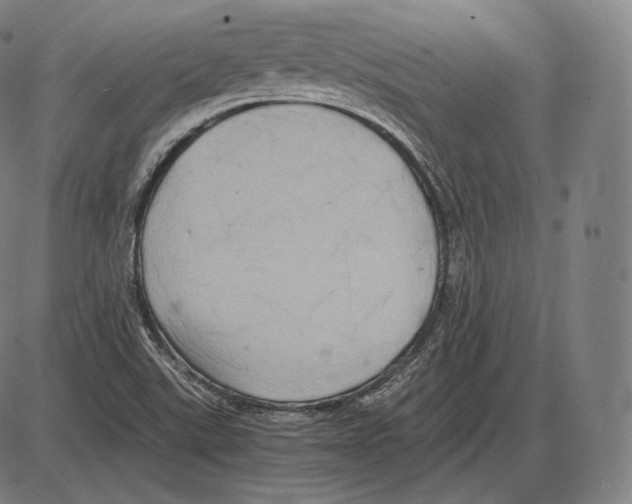 X0000084011507200703161700