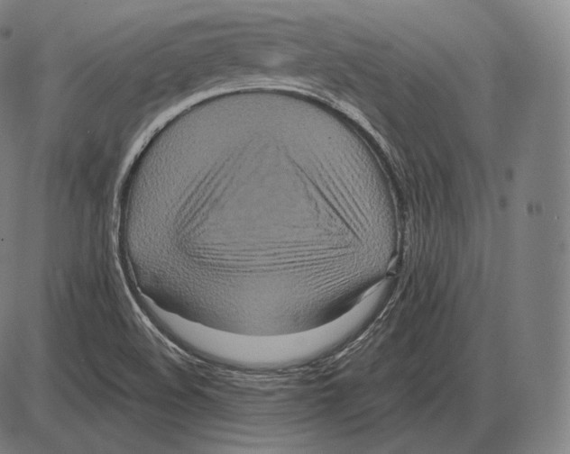 X0000084011508200703161700