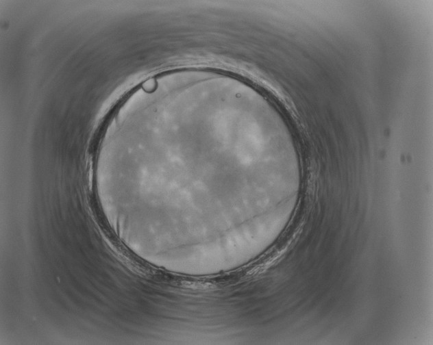 X0000084011509200703161700