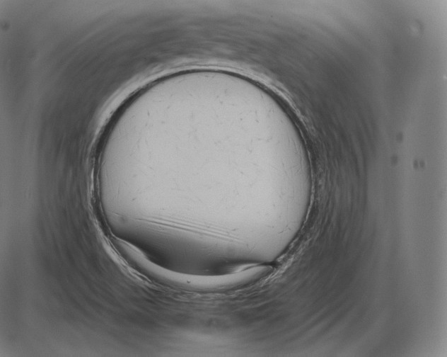 X0000084011511200703161700