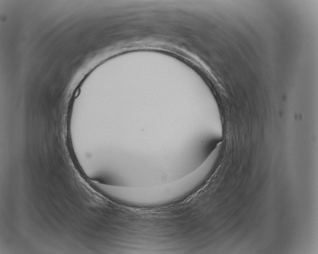 X0000084011512200703161700