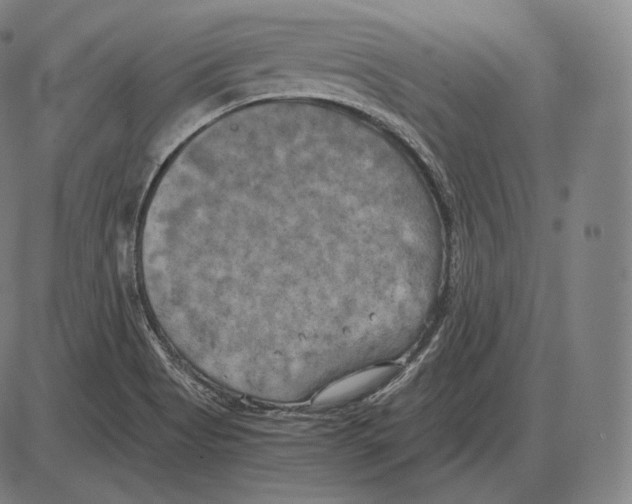 X0000084011513200703161700