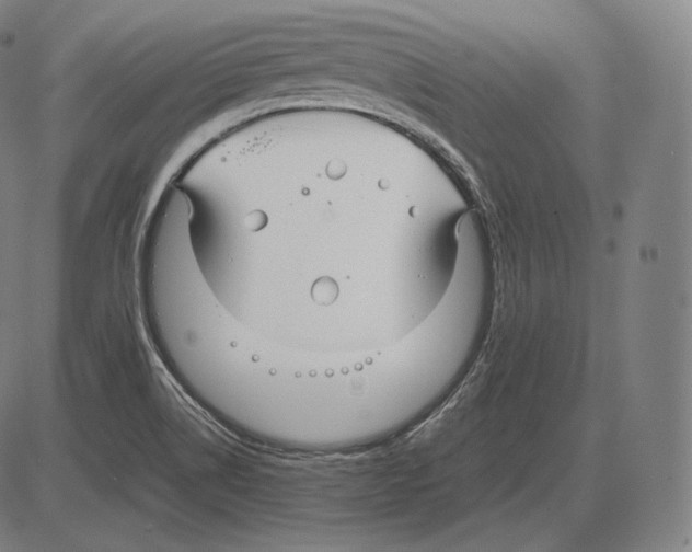 X0000084011514200703161700