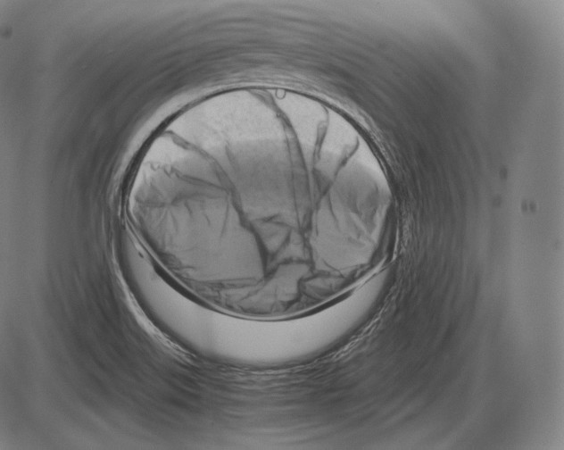 X0000084011515200703161700