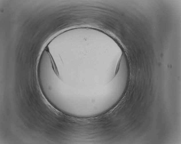 X0000084011516200703161701