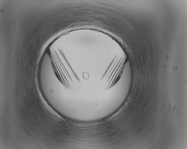 X0000084011518200703161701