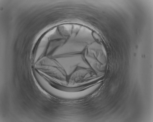 X0000084011519200703161701