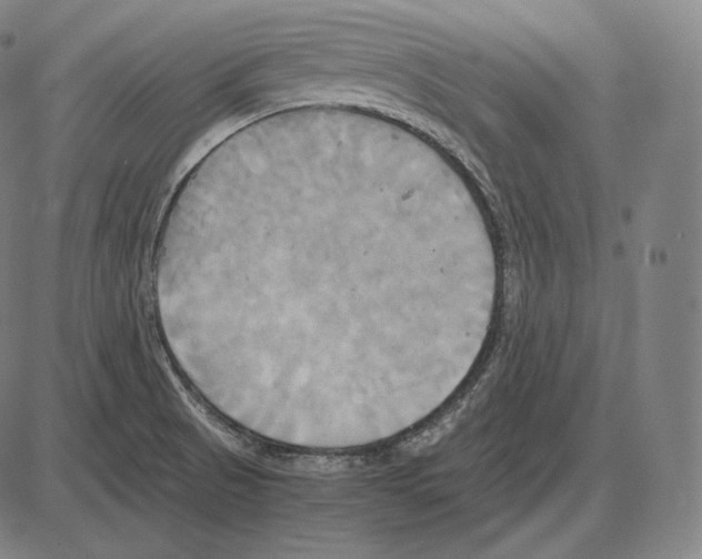 X0000084011521200703161701