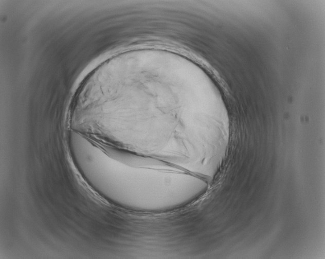 X0000084011522200703161701