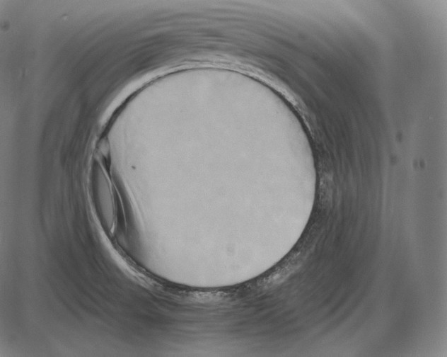 X0000084011523200703161701