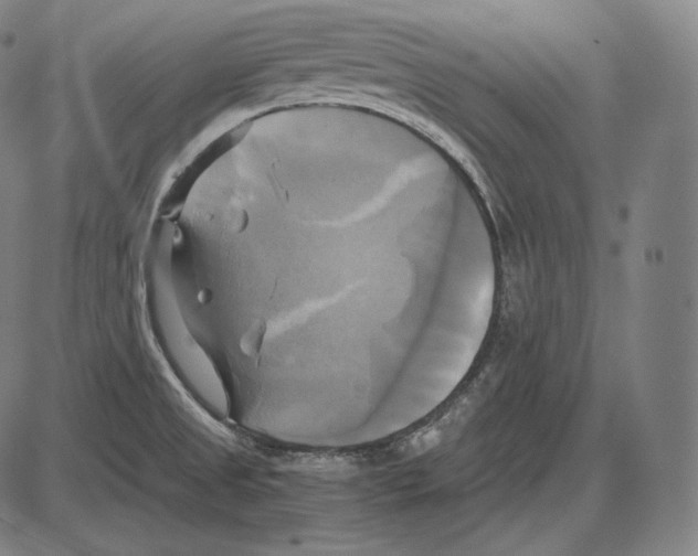 X0000084011525200703161701