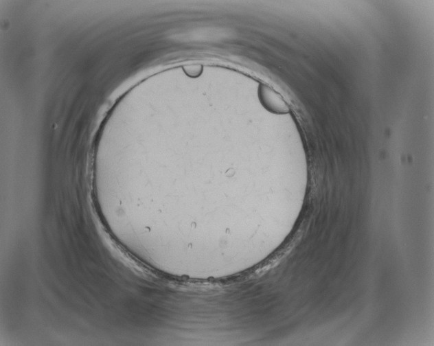 X0000084011526200703161701