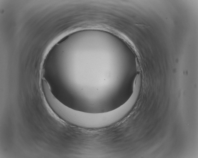 X0000084011528200703161701