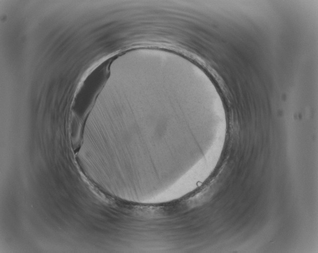 X0000084011529200703161701