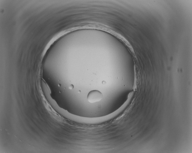 X0000084011530200703161701