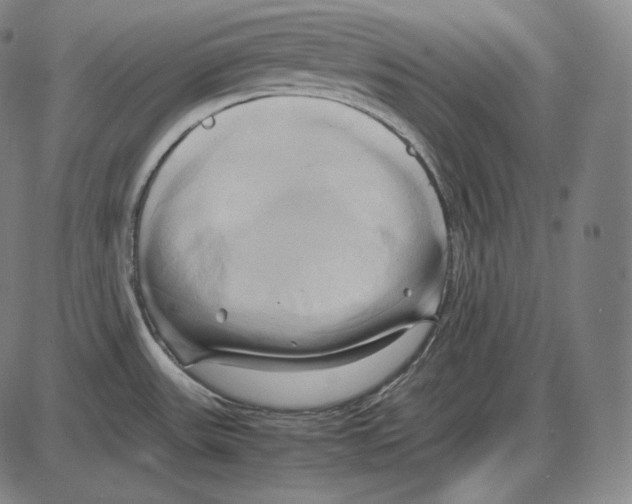 X0000084011531200703161701