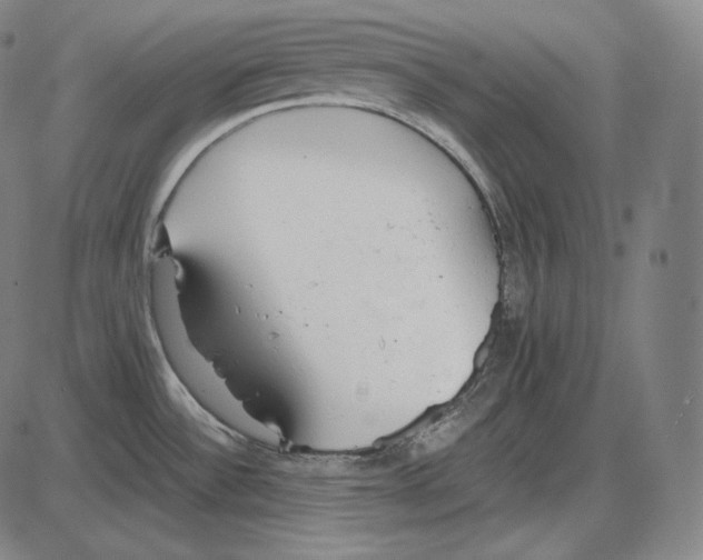 X0000084011532200703161701