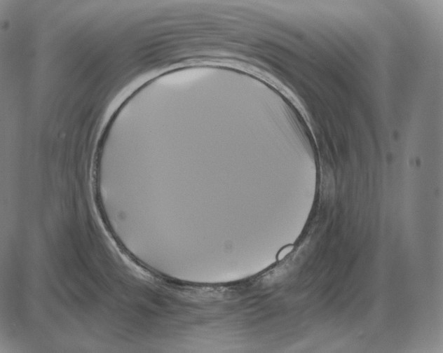 X0000084011533200703161701