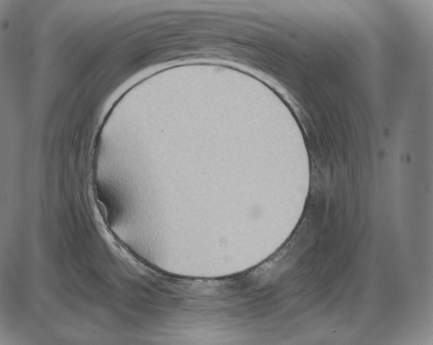 X0000084011534200703161701