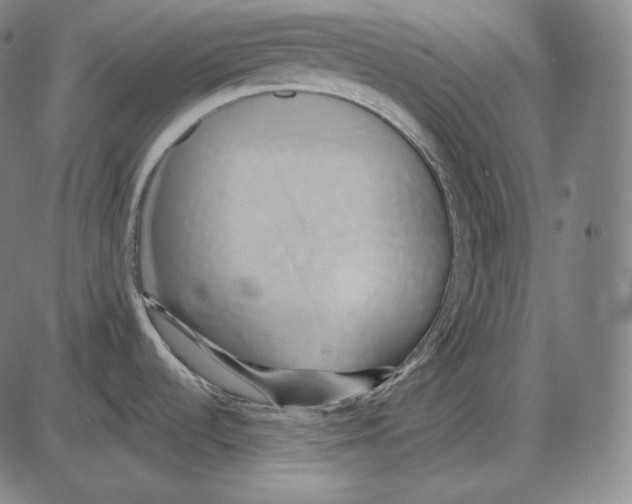 X0000084011536200703161701