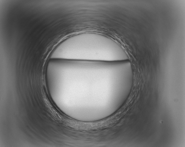 X0000084020002200702160838