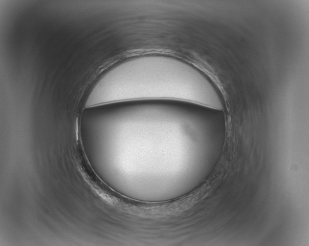 X0000084020013200702160838