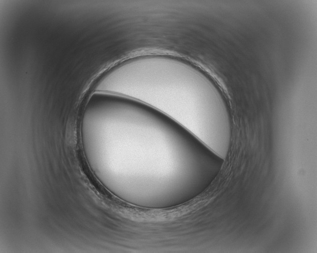 X0000084020015200702160838