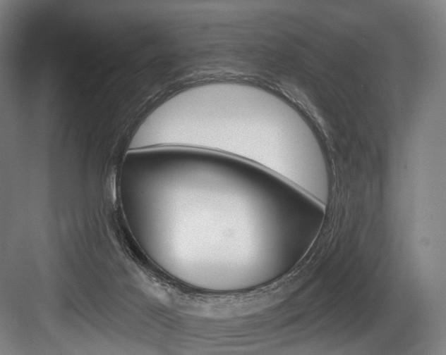 X0000084020021200702160838