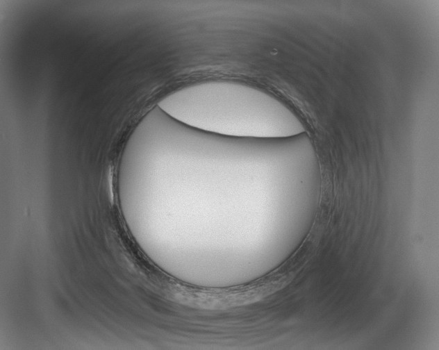 X0000084020022200702160838