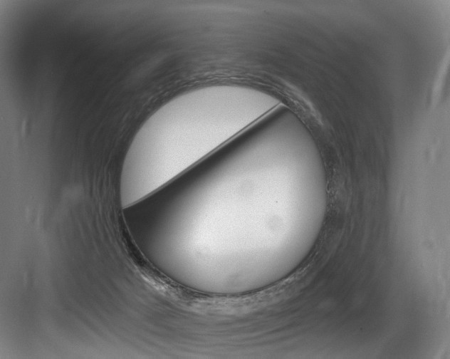 X0000084020025200702160838